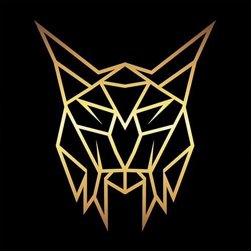 Design logo - affiche bal polytechnique de l'académie royale militaire Belgique